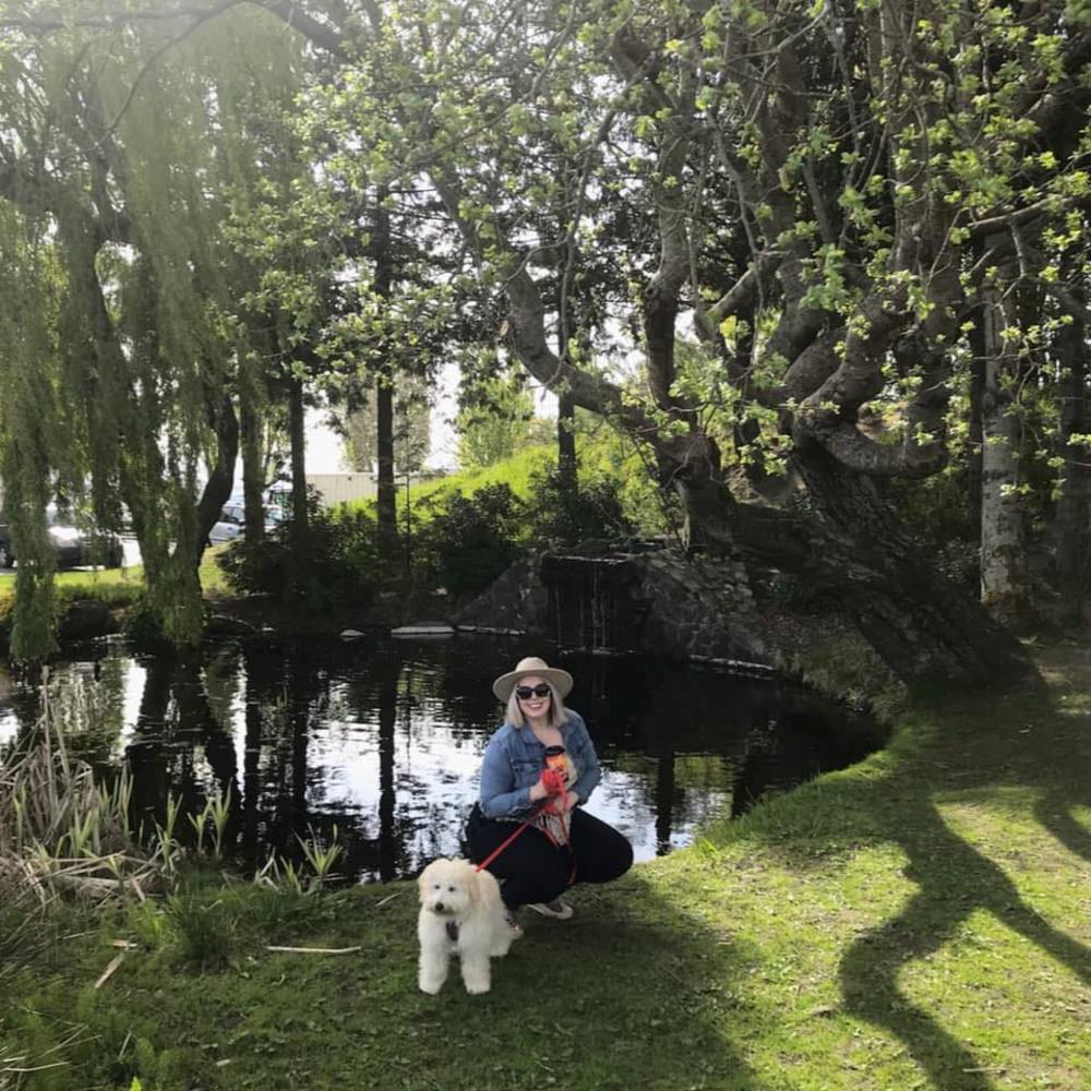 Meet your Posher, Alexa